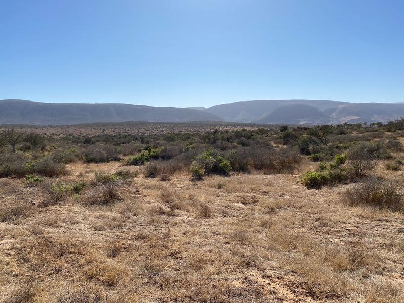 0 Bedroom Property for Sale in Kirkwood Eastern Cape